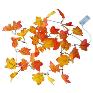 LED Rose Fairy Lights