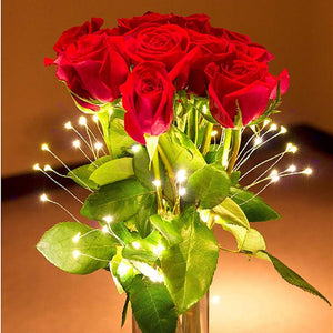 LED Copper Wire Firework Lights