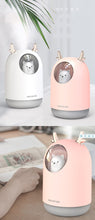 Load image into Gallery viewer, USB Home Humidifier