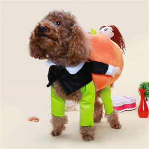 Dog Halloween Costumes
