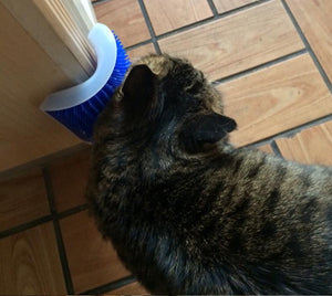 Pet Cat Groomer
