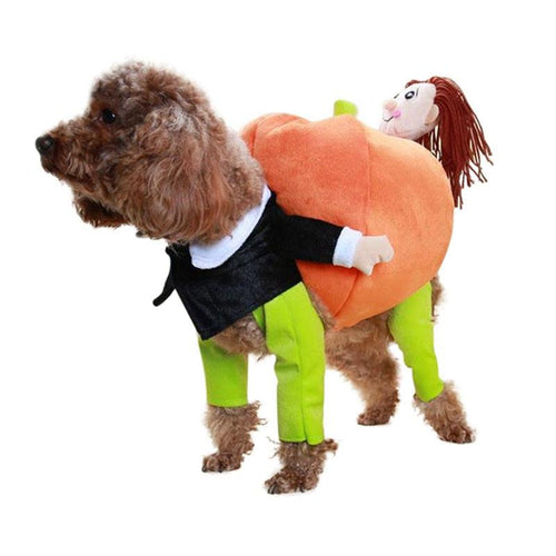 Dog Halloween Costumes