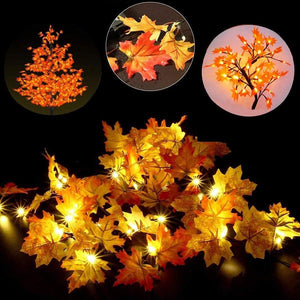 LED Rose Fairy Lights