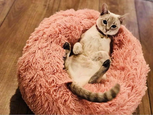 Pet Bed