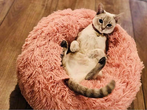 Pet Bed
