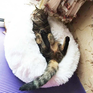 Pet Bed