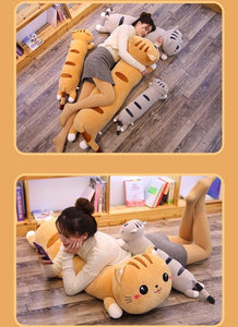 Long Stuffed Cat