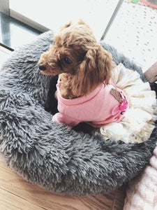 Pet Bed