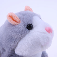 Load image into Gallery viewer, Copy Me Hamster