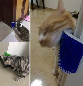 Pet Cat Groomer