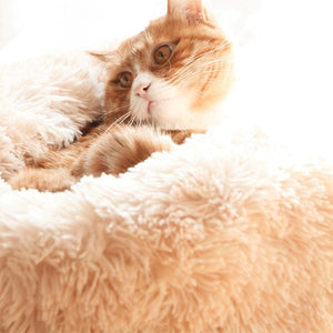 Cozy Donut Cuddler - Luxury Dog and Cat Bed