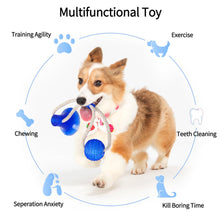 Load image into Gallery viewer, Flexible Dog Molar Bite Toy