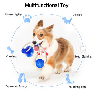 Flexible Dog Molar Bite Toy