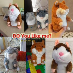 Copy Me Hamster