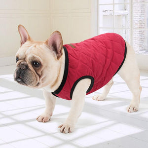 Dog Clothes Coat