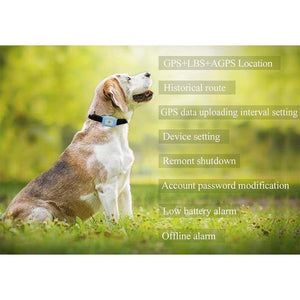 Cat & Dog Gps Tracking Collar