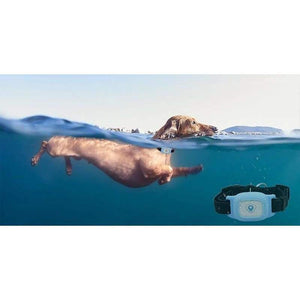 Cat & Dog Gps Tracking Collar