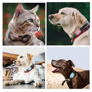 Cat & Dog Gps Tracking Collar