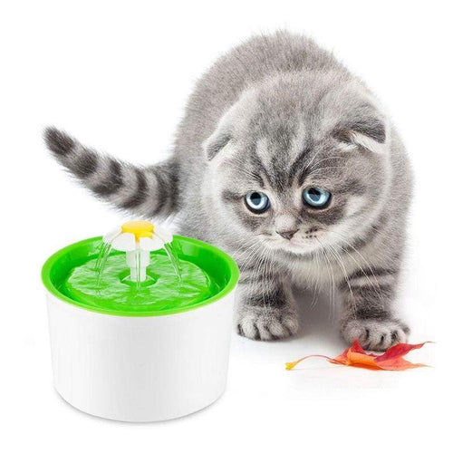 Cat Water Fountain