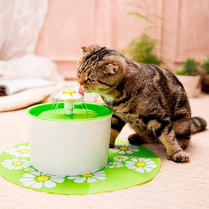 Cat Water Fountain