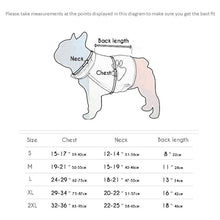 Load image into Gallery viewer, Dog Safety Vest