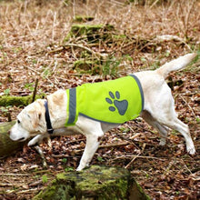 Load image into Gallery viewer, Dog Safety Vest