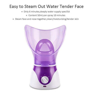 Facial Steamer
