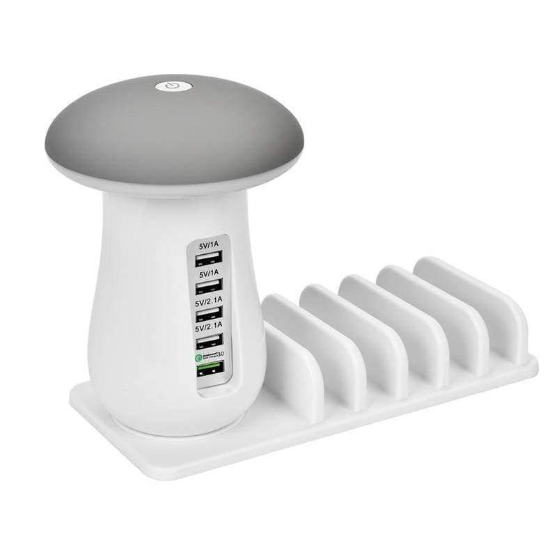 Multi Charging Station