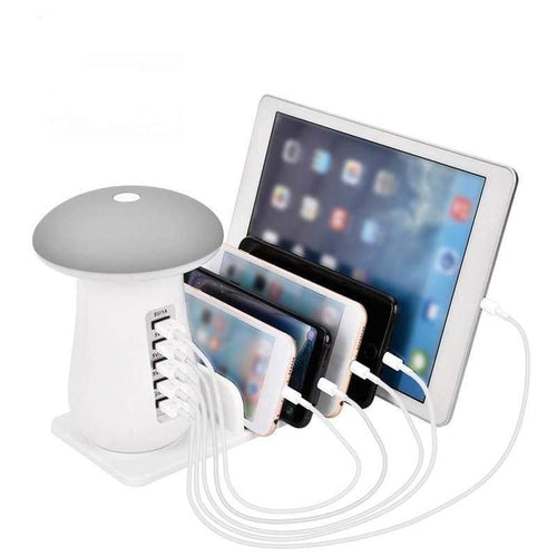 Multi Charging Station