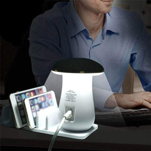 Multi Charging Station