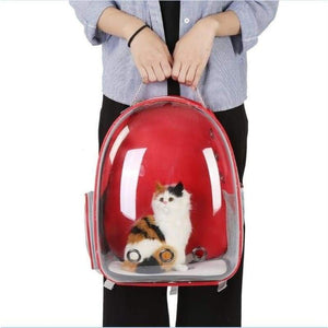 Pet Carrier