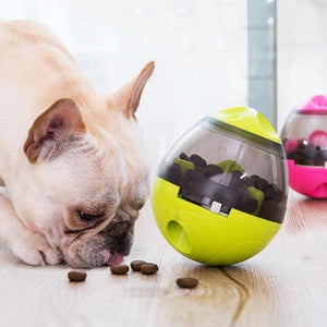 Interactive Dog Bowls