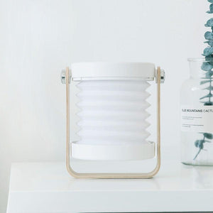 Hanging Lamp