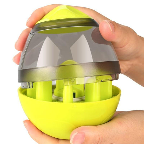 Interactive Dog Bowls