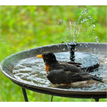 Load image into Gallery viewer, Solar Powered Fountain Pump