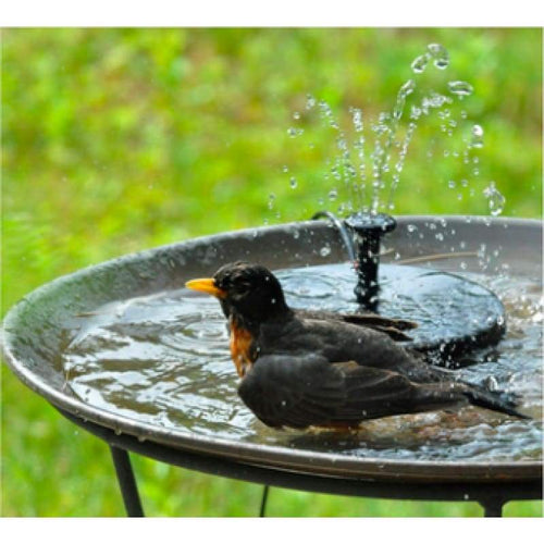 Solar Powered Fountain Pump