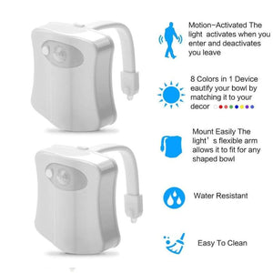 Toilet Night Light