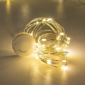 LED Rose Fairy Lights