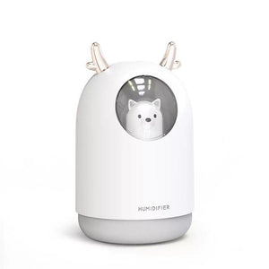 USB Home Humidifier